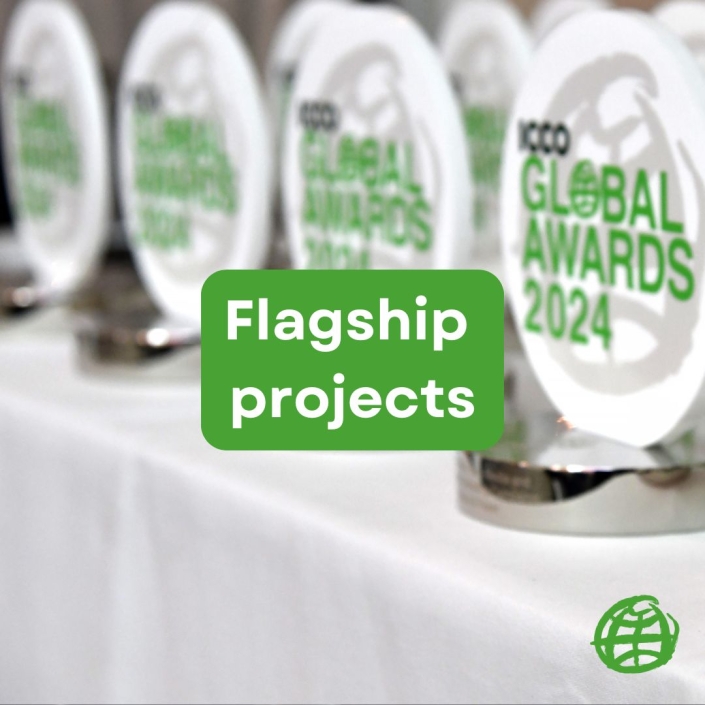 Flagships projects